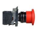 XB2BT842C-3