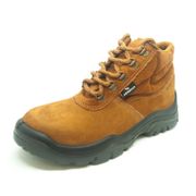 Botina Nobuck Castor Poliuretano Bidensidade Biqueira Plástico Cadarço 4090HXPN4400LG Tamanho 36 CA 28108 Fujiwara