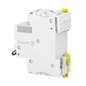 Disjuntor Mini Bipolar 20a 230/400VCA C 6KA A9F74220 Schneider