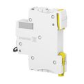Disjuntor Mini Monopolar 4A 230/400VCA Curva D 10KA A9F85104 Schneider