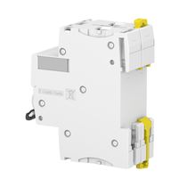 Disjuntor Termomagnético ACTI9 IC60N Bipolar 6A Curva D 6KA 440V A9F75206BR Schneider