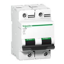 Disjuntor Mini Bipolar 100A 440VCA C 6KA Acti9 A9N18362 Schneider