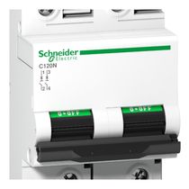 Disjuntor Mini Bipolar 100A 440VCA C 6KA Acti9 A9N18362 Schneider