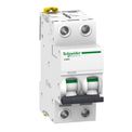 Disjuntor Mini Bipolar 2A 230/400VCA Curva D 10KA A9F85202 Schneider