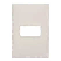 Placa 1 Posto 4X2 Branca Para Canaleta DLP-S 648731S Pial Legrand