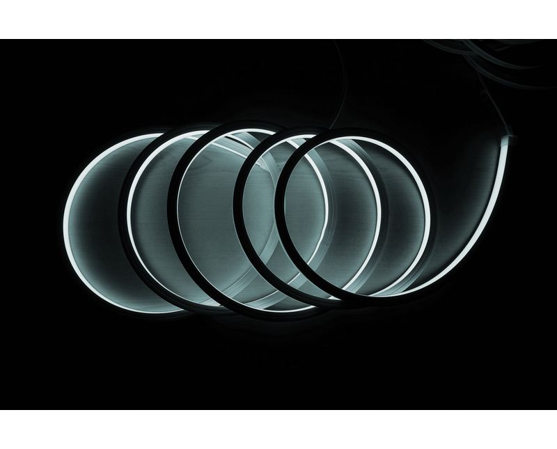 7017656-