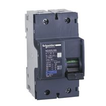 Disjuntor Caixa Moldada Bipolar Magnético Fixo 690VCA 40A 15KA Acti9 18874 Schneider