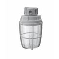 Luminária E27 80W Cinza Ip65 WYPG252 Wetzel