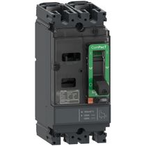Disjuntor Caixa Moldada Bipolar Térmico/Magnético Fixos 380VCA 160A 18KA Compact C16F2Tm160 Schneider