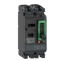 Disjuntor Caixa Moldada Bipolar Térmico/Magnético Fixos 415VCA 100A 25KA Compact C10M2Tm100 Schneider