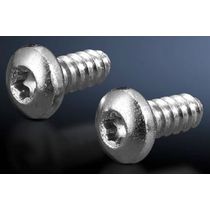 Parafuso Abaul Torx Aço 5,5x 13mm Ri 2486600 Rittal