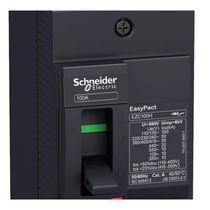 Disjuntor Caixa Moldada Bipolar Térmico/Magnético Fixos 440VCA 60A 20KA Easypact Ezc100H2060 Schneider