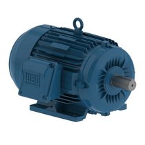 Motor Elétrico W22 IR3 Premium 2CV 4 Pólos L90S Trifásico 220/380V 60 Hz IC411 TFVE B3D 11417383 WEG