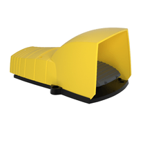 Pedal de Comando XPEY611 Schneider