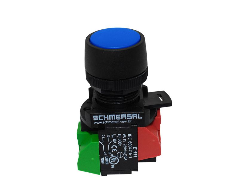 Ace-Schmersal