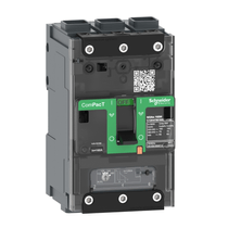 Disjuntor Caixa Moldada Tripolar Térmico/Magnético Fixos 415VCA 125A 25KA Compact C12B3Tm125L Schneider