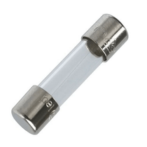 Fusível Ação Rápida 0,25a 250v Tipo G 5x20 0,25a C902483.0000 Weidmuller