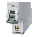 Disjuntor Mini Monopolar 50A 250/440VCA Curva C 6KA 5SY61507 Siemens