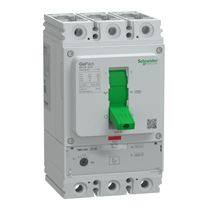 Disjuntor Caixa Moldada Tripolar Térmico 415V 320A 36KA G40F3A320 Schneider