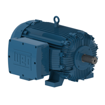 Motor Trifásico Tetrapolar 220/380V 15Cv 132M W21 Stand Expl 10019692 WEG