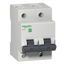 Disjuntor Mini Bipolar 125A 220/400VCA C 4,5KA Easy9 Ez9F33292 Schneider