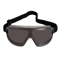 Oculos Ampla Visão Lente Cinza Antiembacante Harrier 217727 - MSA