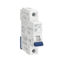Disjuntor Mini Monopolar 50A 220/400VCA B 5KA Mdwp Mdwpb50 Weg