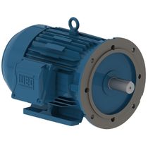 Motor Elétrico Trifásico 5cv 8 Polos 870rpm 220/380V 60Hz 132m/l B35d IE3 Premium Ir3 IP55 12216983 WEG