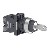 Comutador Seletora Chave 3 Posições Cromado 22MM Central/Direita/Esquerda 2NA Harmony Xa2Eg03 Schneider
