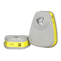 Filtro Cartucho Químico Classe 1 GA/VO 6003 H0002129056 3M
